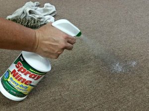 Carpet Stain Removal