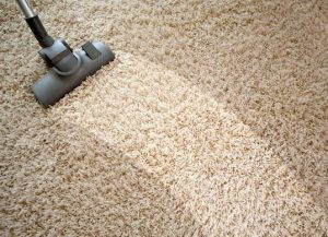 Carpet Stain Removal